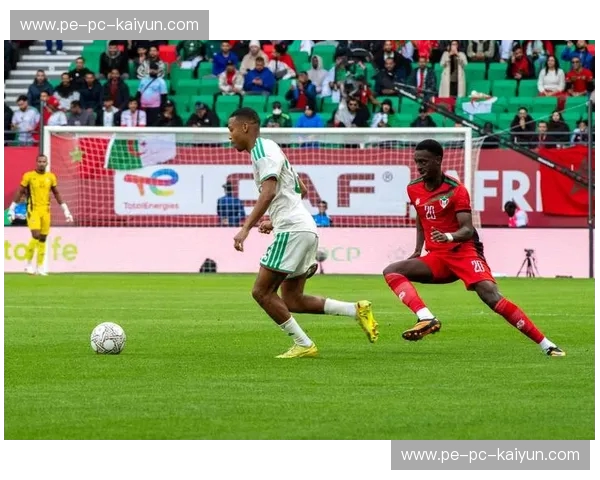 非洲杯经纪人:让你的足球梦想登陆非洲赛场 非洲杯经纪人:让你的足球梦想登陆非洲赛场