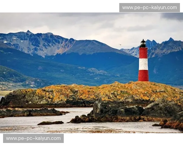 宿命的交响诗：当潘帕斯雄鹰遇上非洲雄鹰，绿茵场上的永恒狂想
